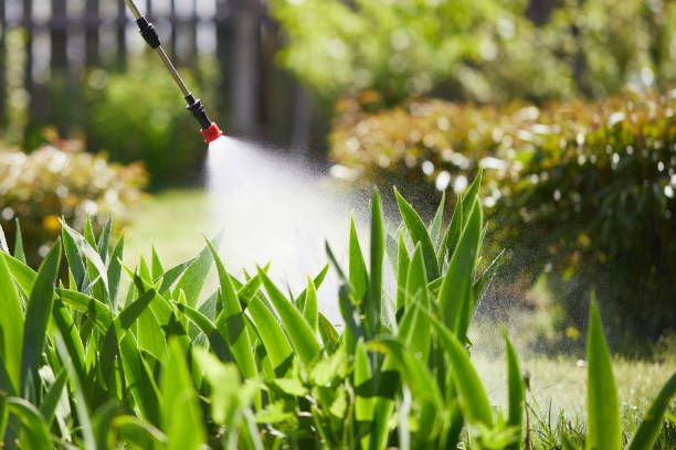 24/7 Emergency Ant Control experts in Herriman, UT