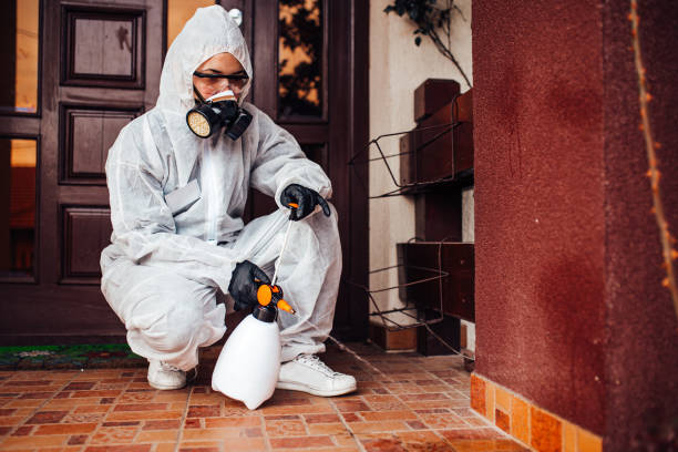Reliable Ant Control contractor in Herriman, UT by Nex Pest Control