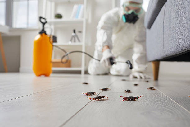 Trusted Termite Control service in Herriman, UT - Nex Pest Control