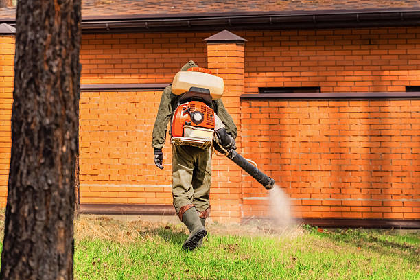 Trusted Bed Bug Control service in Herriman, UT - Nex Pest Control